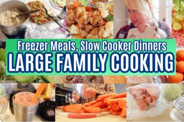 LARGE FAMILY DINNERS ON A BUDGET | Big Freezer Meals, Slow Cooker Recipes, + leftovers & lots!