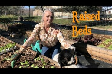 Raised Beds GARDENING in Abruzzo Italy Part 1
