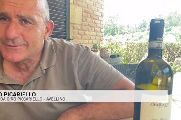 Il Vino in Italia; L' Italia del Vino.