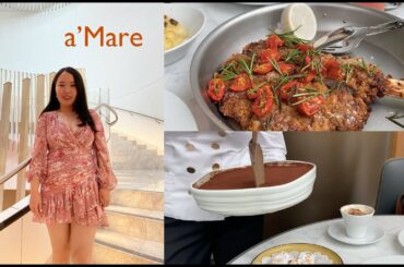 Experience a'Mare Sydney restaurant  |   TWR Crown Sydney    |   Henri Matisse Art Gallery of NSW