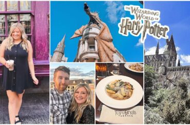 HARRY POTTER WORLD VLOG + DINNER AT DISNEY TOPOLINO'S TERRACE