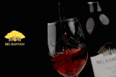 Big Banyan Wine Ad-film | Demo Ad-film |Big Banyan Wines