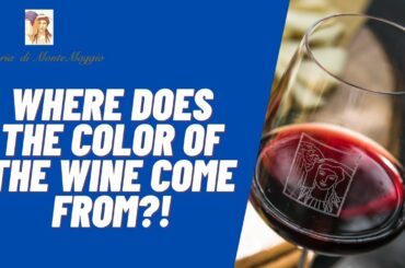 Where does the wine color come from?