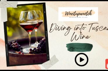 Diving into Tuscan Wines - 5 Wines to Know!