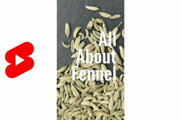 The Short Story of Fennel #Shorts - Glen And Friends Cooking