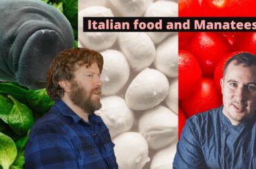 Italian food and Manatees with DAVE BECKER!!!