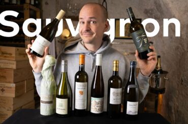 Best VIVINO SAUVIGNON BLANCs? Master of Wine Tastes Worldwide Sauvignons