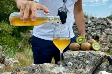 KIWI WINE How to Make it at Home