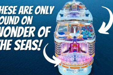 10 Things You Can ONLY FIND on WONDER OF THE SEAS!