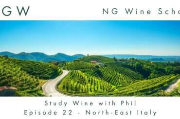 Wine School - S2 E22 - North-East Italy
