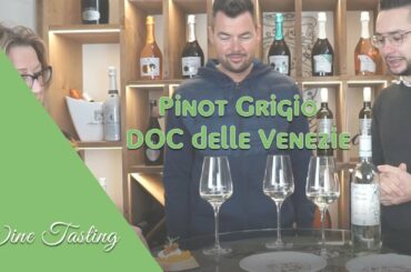 Pinot Grigio Doc delle Venezie - Degustazione / Wine Tasting