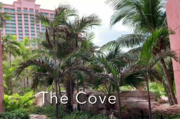 Atlantis Paradise Island: Dining at Seafire Steakhouse, Nobu, and Olives (April 2021)