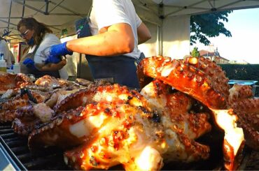 Italy Street Food Event. Huge Octopuses on Grill, Juicy Churrasco, Roasted Meat and more Food