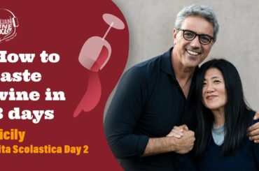 How to taste wine in 3 days -  Sicily-Etna Adventure Pt. 2 - Travel to Etna with Stevie Kim!