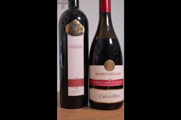 Is Aglianico A Noble red wine Grape? #shorts