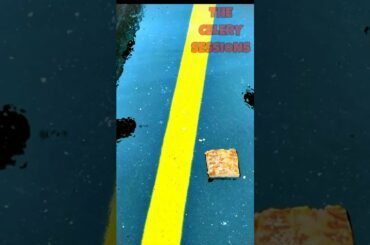 Welcome the NEW PIZZA! Is Italian or just cutting edge Italian Food!