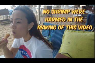 True Beach dining at the Glass House