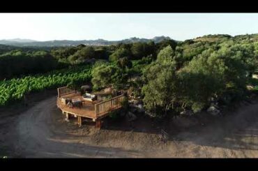 Capichera winery - Sardinia