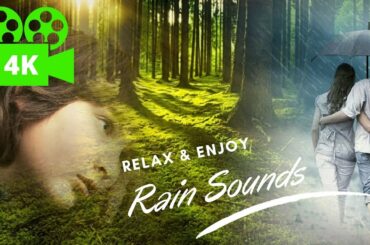 Relax and Enjoy Rain Sounds 4K video | Soothing Rain to Sleep Instantly