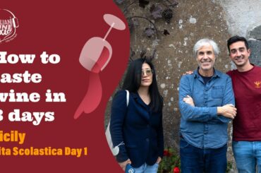 How to taste wine in 3 days -  Sicily-Etna Adventure Pt. 1 - Travel to Etna with Stevie Kim!