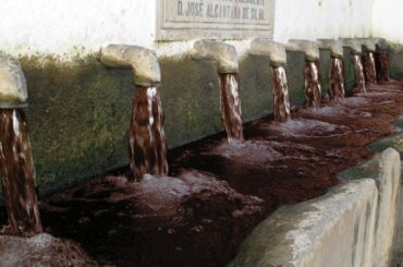 Italy Has a Fountain That Runs with WINE!
