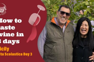 How to taste wine in 3 days - Sicily-Etna Adventure Pt. 3- Travel to Etna with Stevie Kim!