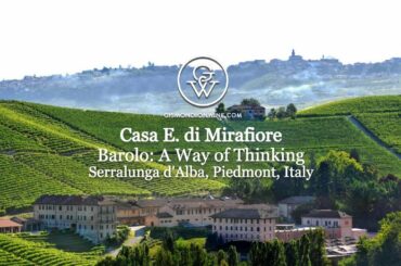 Casa E. di Mirafiore - Serralunga d'Alba, Piedmont