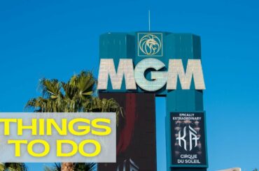 The Top 17 Things To Do At MGM Grand Las Vegas