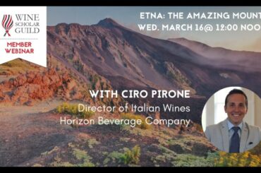 Etna: Discover Wines from this Amazing Mountain in Sicily