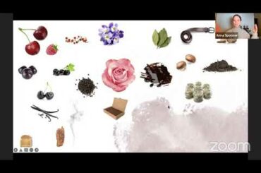 Sip-Size - An introduction to nebbiolo