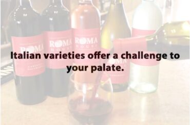 Pizza Restaurant Near Me Windsor, CO - Reasons to Drink Wine