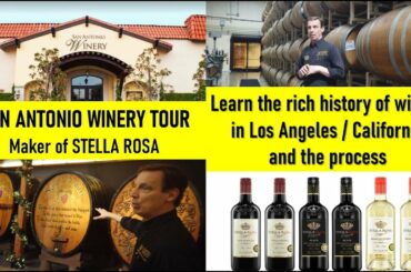 Part 1 - San Antonio Winery Los Angeles I Stella Rosa I Tour & Wine Tasting