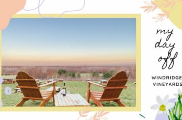 My Day Off ~ Windridge Vineyards #GrowingJoyWithAnnPodaras #Selflove #Happy #Winery #Vineyard