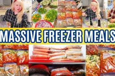 28 Easy Freezer Meals from Scratch | Cook Once Eat for a Month or More | Large Family Freezer Meals!