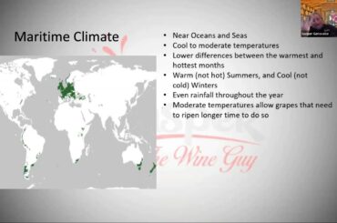 How Climate and Temperature Impact Wine