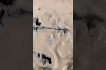 GORGONZOLA CHEESE #italianfood #shorts