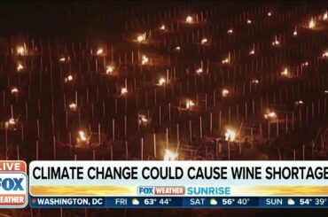 Climate Change could cause wine shortage