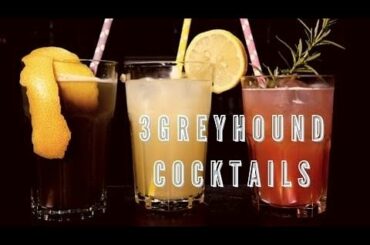 3 GREYHOUND COCKTAILS Recipes