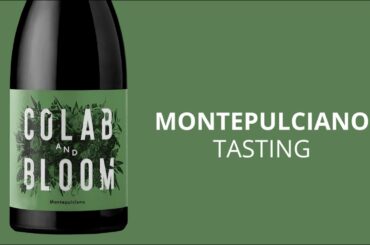 Montepulciano | Colab and Bloom Wines - What's the Difference?