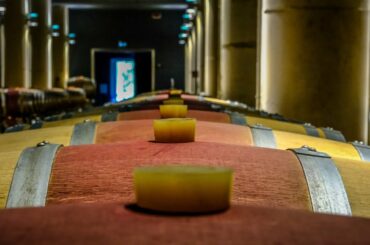 Discover the magnificent Fonterutoli winery in Italy, Tuscany!