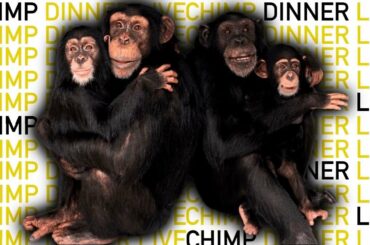 The NEW Chimp Dinner LIVE! 04.10.22