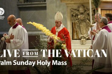 Palm Sunday Holy Mass | LIVE from the Vatican