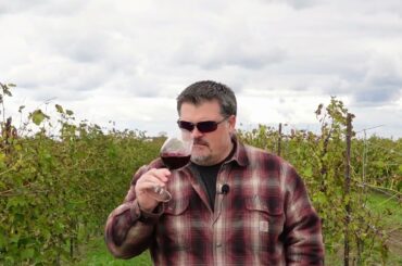 Gianni Gagliardo 2017 Barolo (Italian Wine)