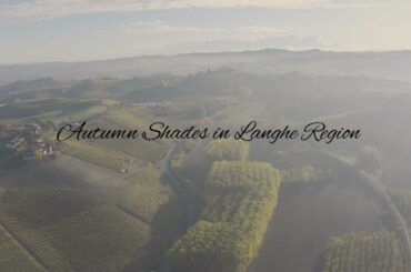 How Great Wines Are Made: Cantina Francone