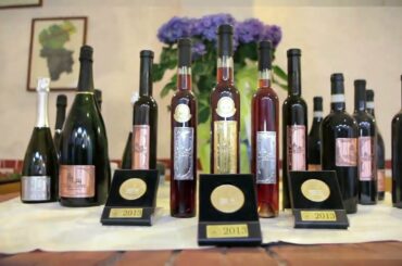 VILLA OPPI SINCE 1524