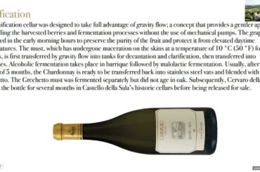 Ian Blackburn Presents: STARS of Italian Wine 2022 - Virtual Wine Tasting