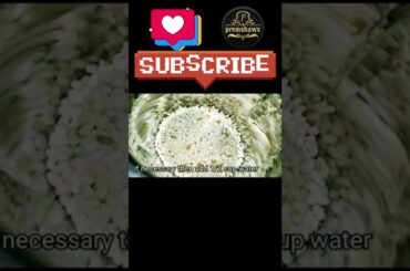 #Italy.recipe #Italy Kaise banaen #shorts #south ka famous Italy