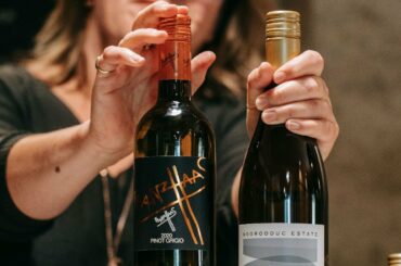 Taste DBC Pinot Gris and Franz Haas Grigio with Kate McIntyre MW in our virtual tasting room