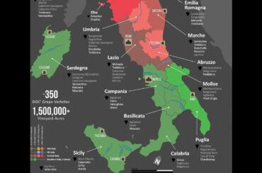 Virtual Wine Tasting 35 - Southern Italy