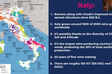 Italian Merlot Explained